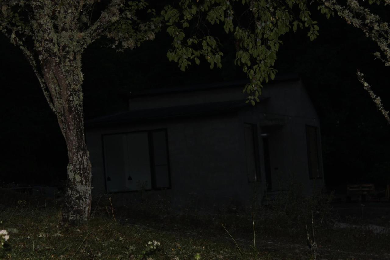 Cozy House In The Forest Боржоми Екстериор снимка